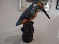 /album/galerie-photos/martin-pecheur-jpg/